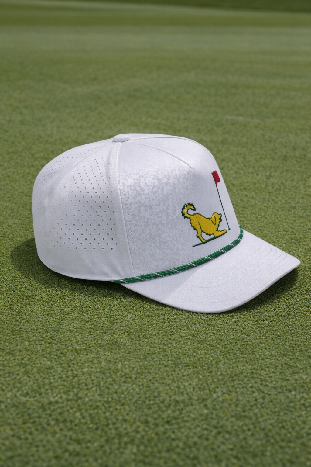 Master Golden Hat